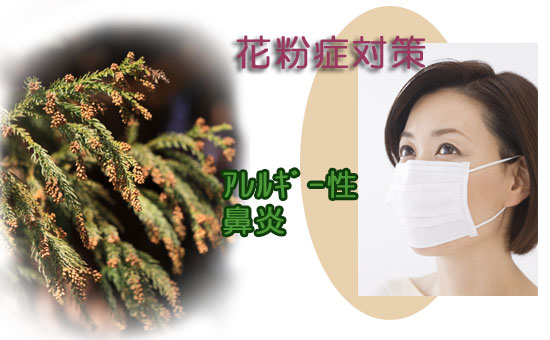 こくほ内科クリニックの泌尿器科